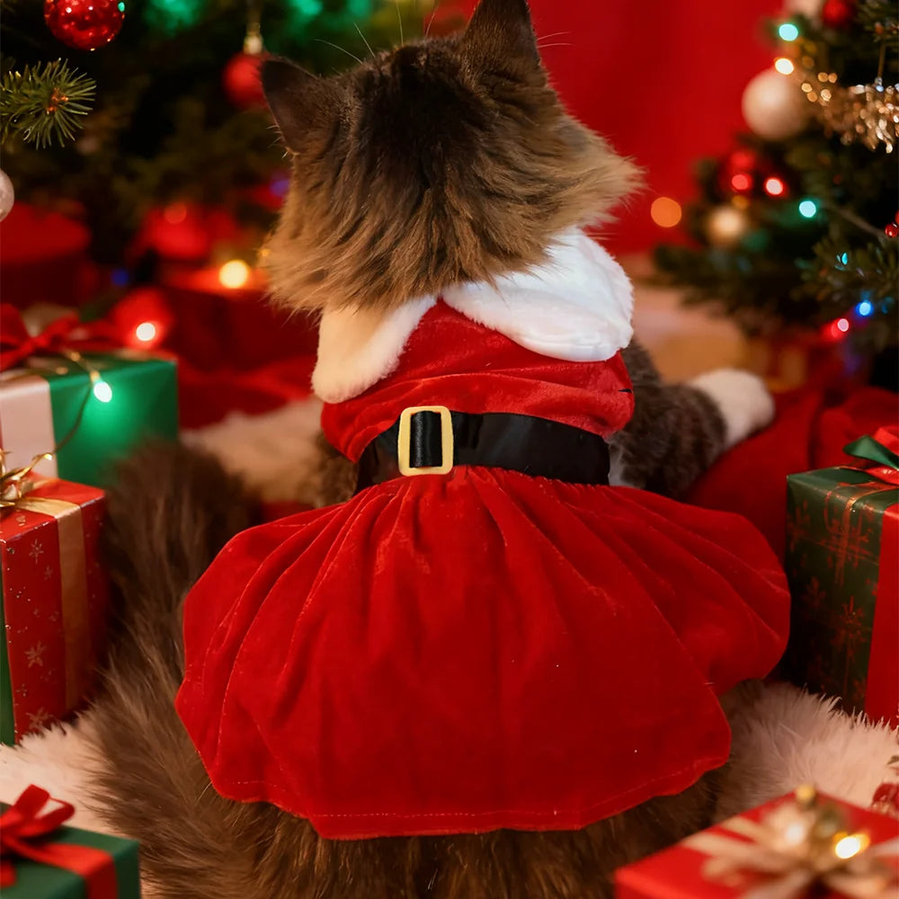 Vestido de Natal para Gatos