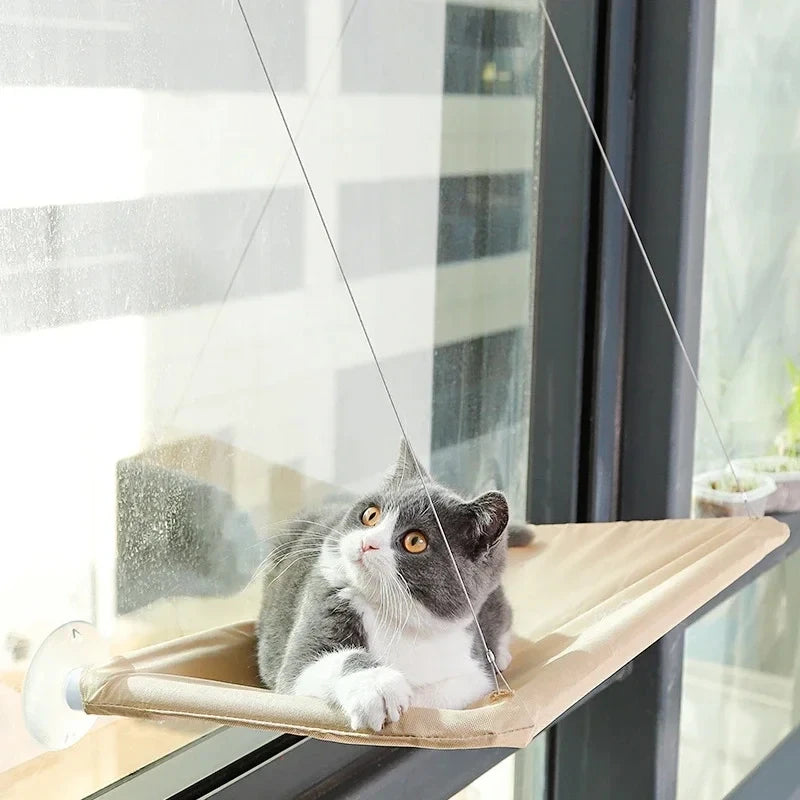 Rede com Ventosa para Gatos