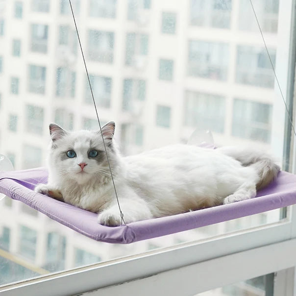 Rede com Ventosa para Gatos