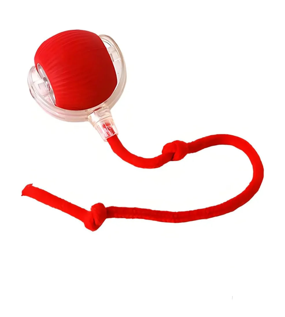 Brinquedo Bola Automática
