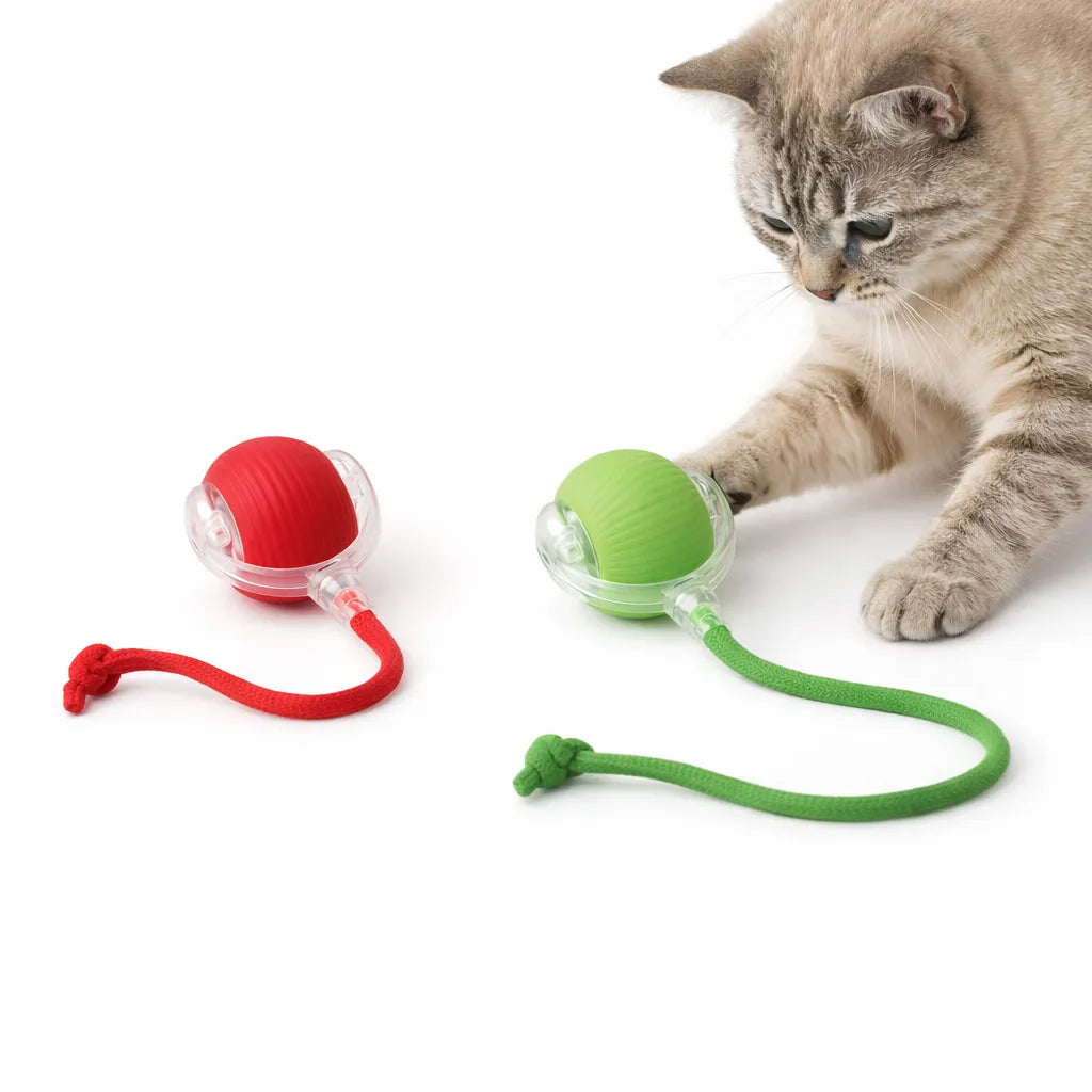 Brinquedo Bolinha de Caça Para Gatos