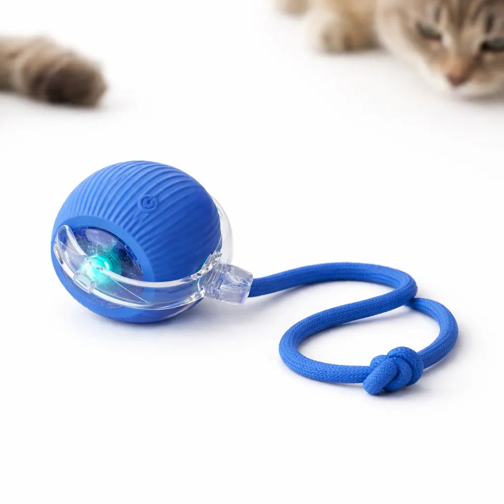 Brinquedo Bolinha de Caça Para Gatos