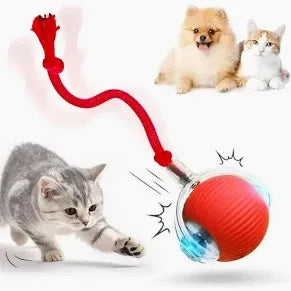 Brinquedo Bola Automática